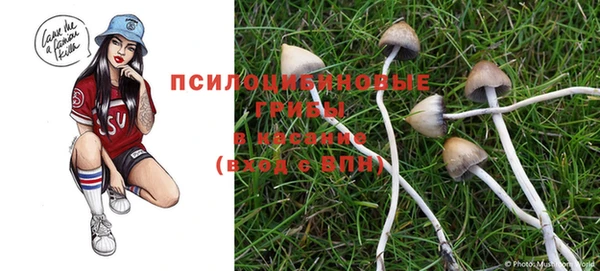 мет Алзамай