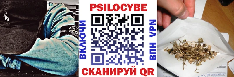 Псилоцибиновые грибы мицелий  Курск 