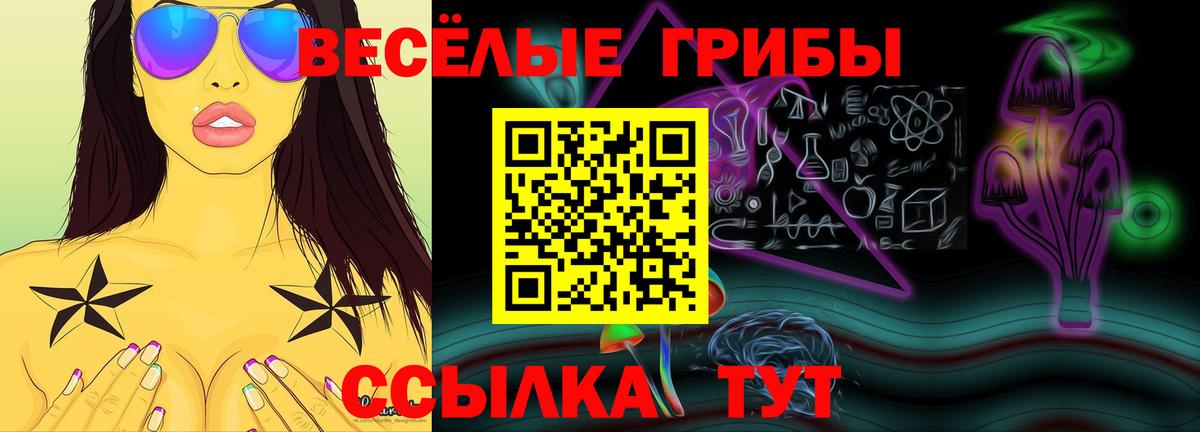 Курск  Псилоцибиновые грибы Cubensis  Вход с VPN 