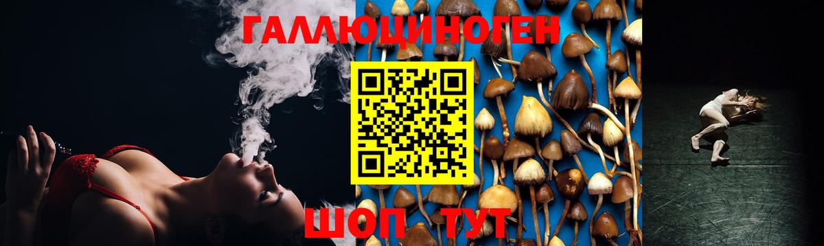 Псилоцибиновые грибы мухоморы Курск